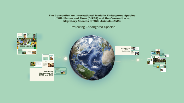 Protecting Endangered Species: CITES and CMS by carolyn rõuk on Prezi