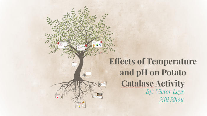 effect of ph on potato catalase experiment