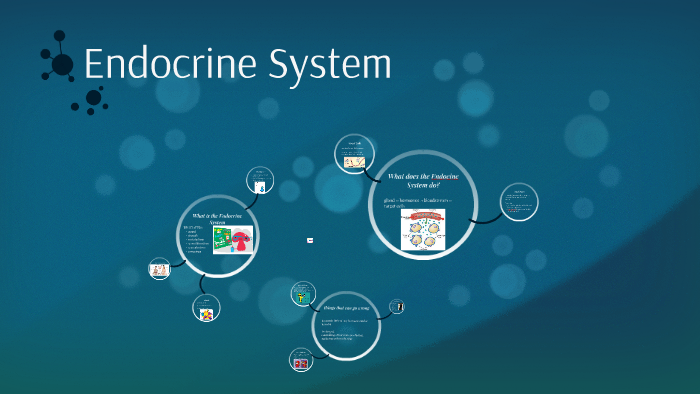 Endocrine System by Flo L on Prezi