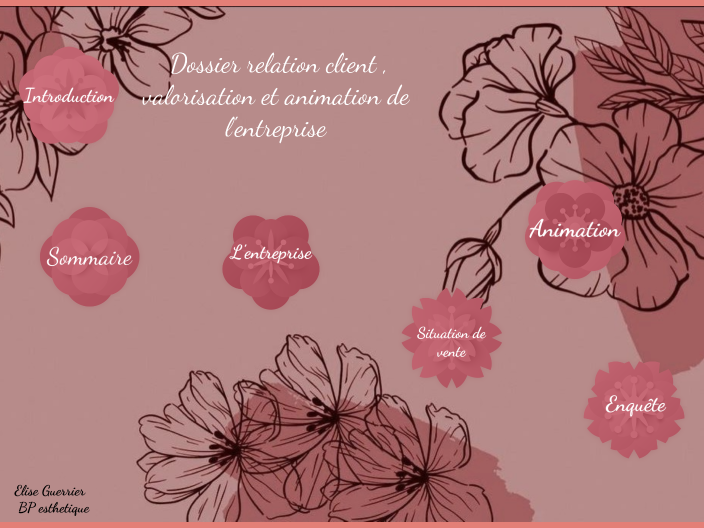 Diaporama BP esthetique by elise Guerrier on Prezi