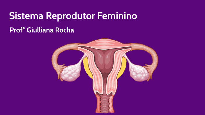 Sistema Reprodutor Feminino By Giulliana Rocha 3434