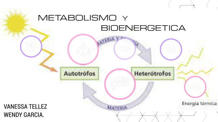 METABOLISMO Y BIONERGETICA By Vanessa Tellez On Prezi