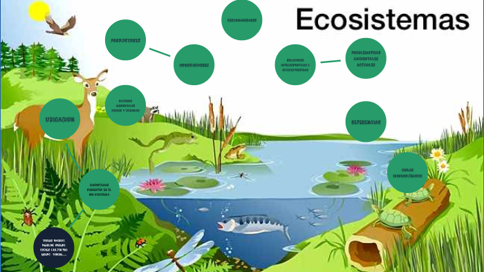 IDENTIFICAR COMUNIDADES POBLACIONES ECOSISTEMAS Y CICLOS BIOLOGIA ...