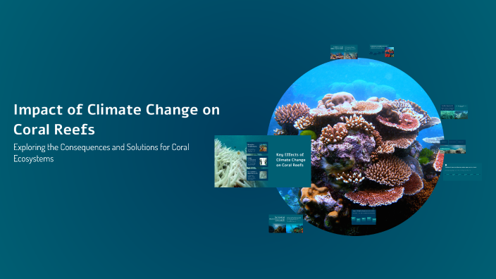 Impact of Climate Change on Coral Reefs by George Meichel on Prezi