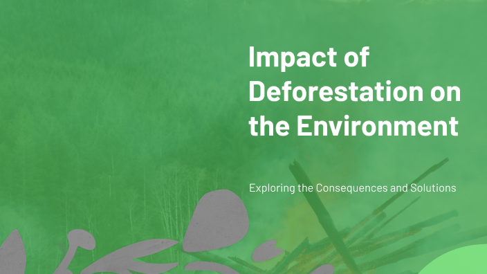 The Impact of Deforestation on the Environment by 23 Hoàng Trịnh Anh ...