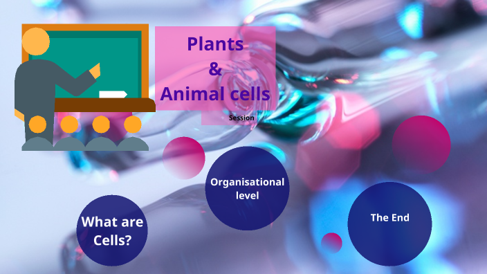 Plants and Animal Cells by Maritza Mejia on Prezi