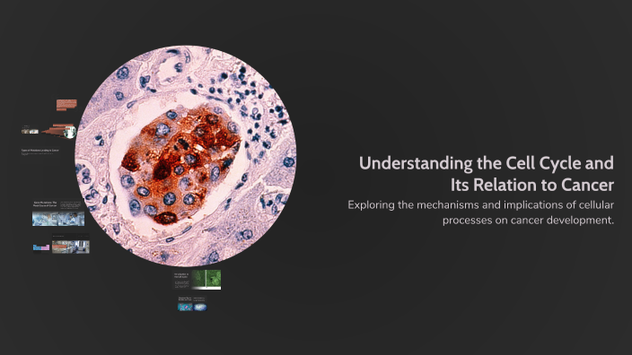 Understanding the Cell Cycle and Its Relation to Cancer by Tkayla ...