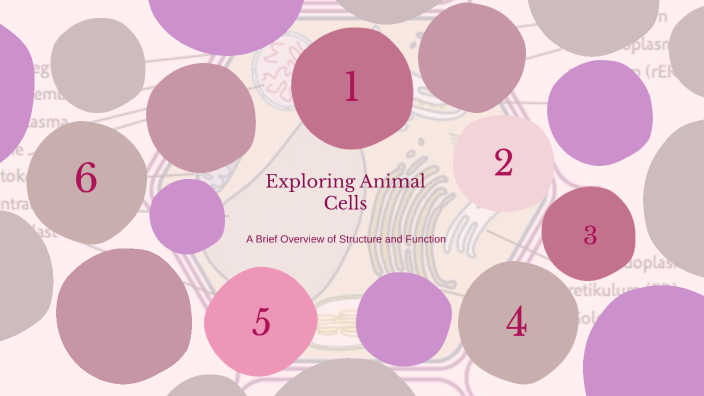 Exploring Animal Cells by Jumana Ahmed on Prezi