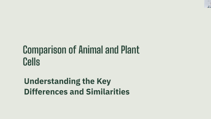 Comparison of Animal and Plant Cells by Madonna Magdy on Prezi