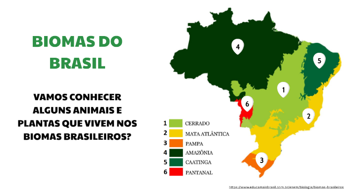 Biomas do Brasil by Renata Silva Viotto on Prezi