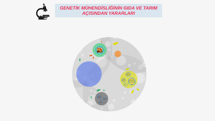 genetik mühendisliğinin gıda ve tarım açısından yararları ile ilgili görsel sonucu