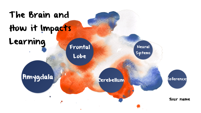 The Brain and How it Impacts Learning by Emily Murray on Prezi