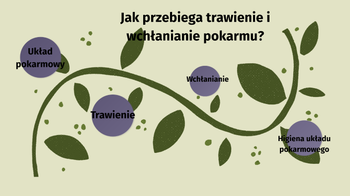 Jak przebiega trawienie i wchłanianie pokarmu kl.4 by Sylwia Kaniewska