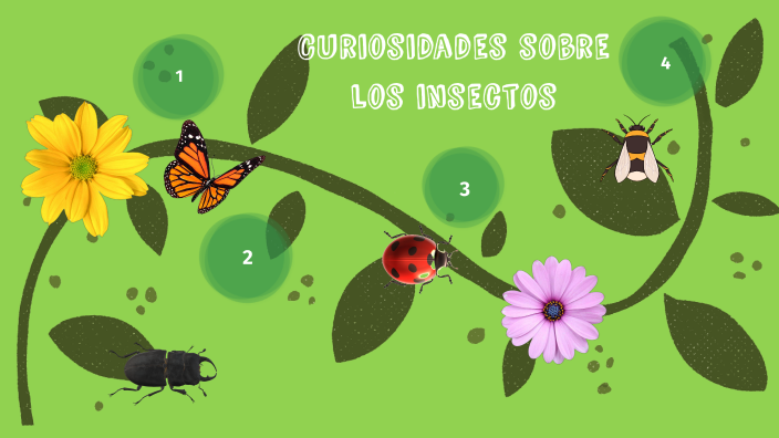 Curiosidades sobre los insectos by F Gt on Prezi
