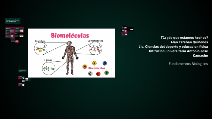 mapa mental de los bioelementos y biomoléculas by Naldo Quiñones on Prezi