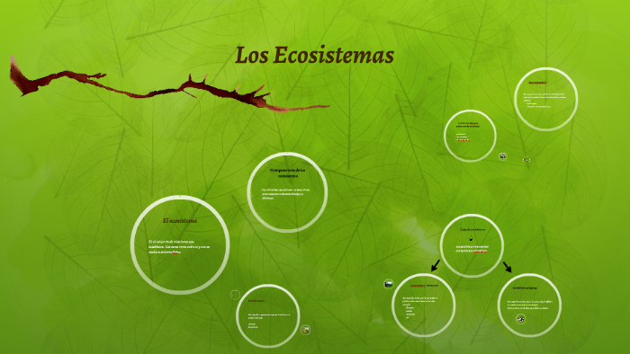Los Ecosistemas by yaniri Rosero lora on Prezi
