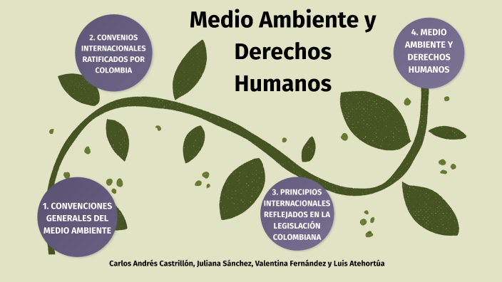 Los Derechos Humanos Ambientales Pertenecen A prezi.com