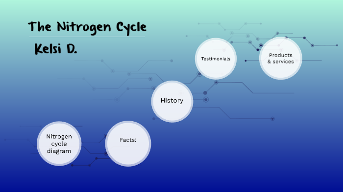 The Nitrogen Cycle by Kelsi Dunstan on Prezi