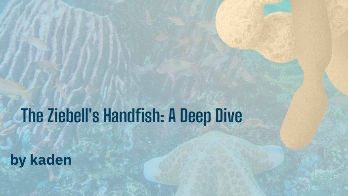 The Ziebell's Handfish: A Deep Dive by kaden faulkner on Prezi