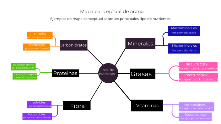 Mapa conceptual de araña by mateo regino mendoza on Prezi