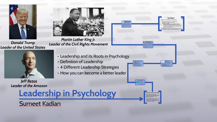 phd in leadership psychology