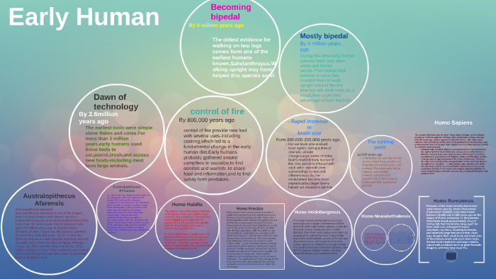 Human Evolution Timeline by MengFan Zheng on Prezi