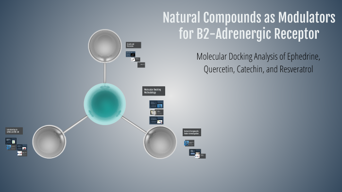 Natural Compounds as Modulators for β2-Adrenergic Receptor by Sepideh ...