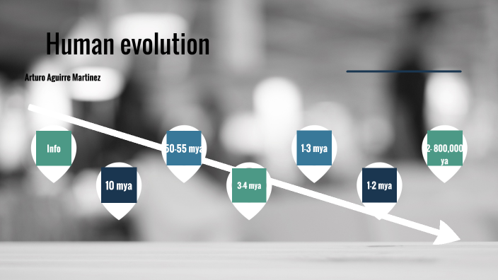 Human evolution by Arturo Aguirre on Prezi