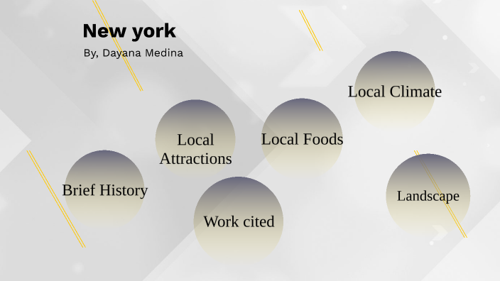 new york geography case study