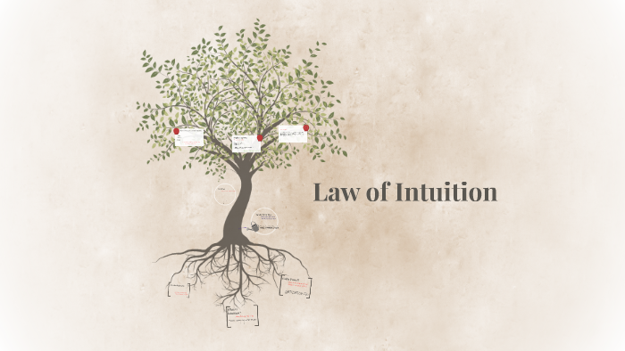 Law of Intuition by Beth Hammons on Prezi