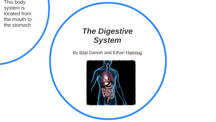 The Digestive System by on Prezi
