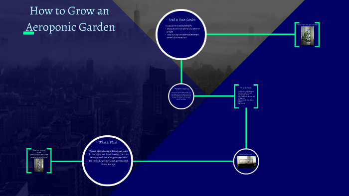 download hydroponic farming at home download hydroponic farming at home