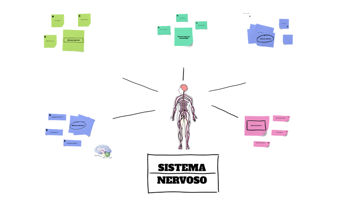 mapa mental sistema nervoso by FERNANDA GONÇALVES on Prezi