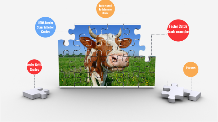 Moo By Ryan Neff On Prezi Next