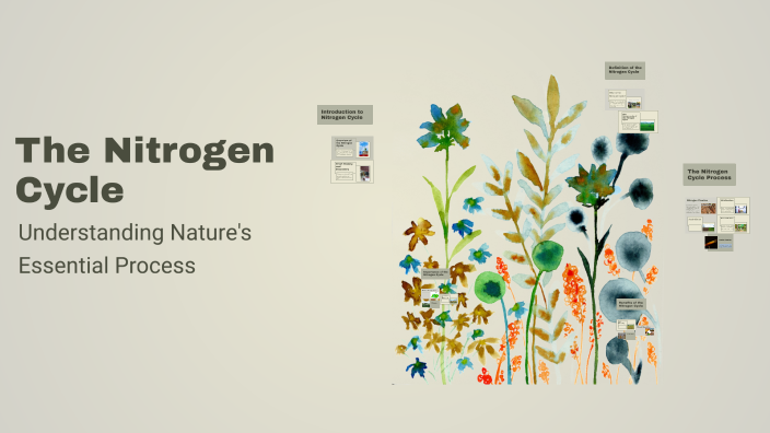 The Nitrogen Cycle by Krishna Upadhyay on Prezi