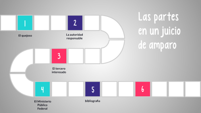 Las partes en un juicio de amparo by Óscar sehir Ortega nava on Prezi
