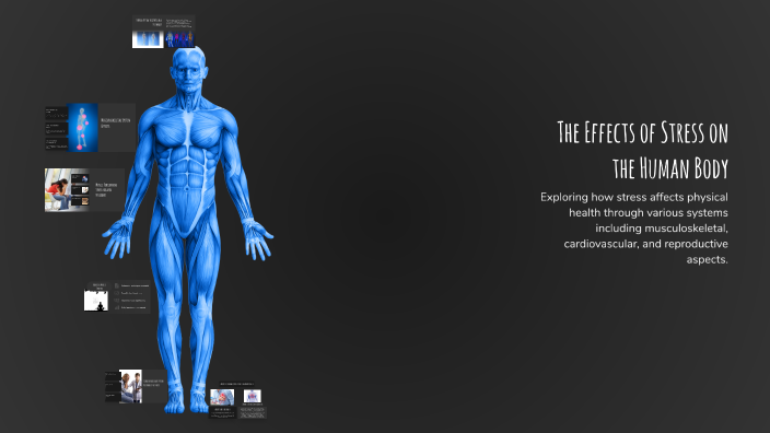 The Effects of Stress on the Human Body by Heather Hoch on Prezi