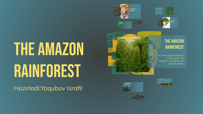 The Amazon Rainforest by Israfil Yaqubov on Prezi