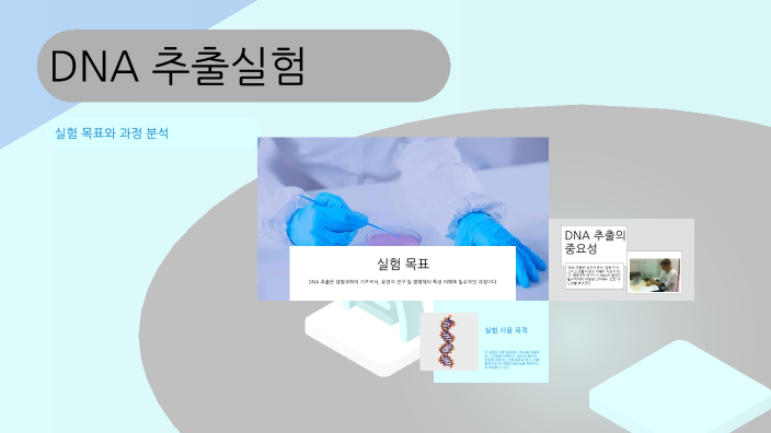 DNA 추출실험 by 서은 박 on Prezi