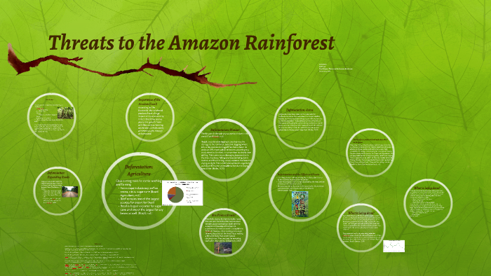 Threats To The Amazon Rainforest By Kim Stone On Prezi