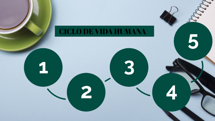 ETAPAS DEL DESARROLLO HUMANO by Rony Gutierrez Arapa on Prezi