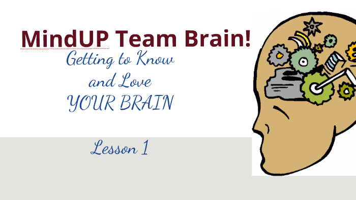 Mind Up Lesson 1  Getting to Know Your Brain 