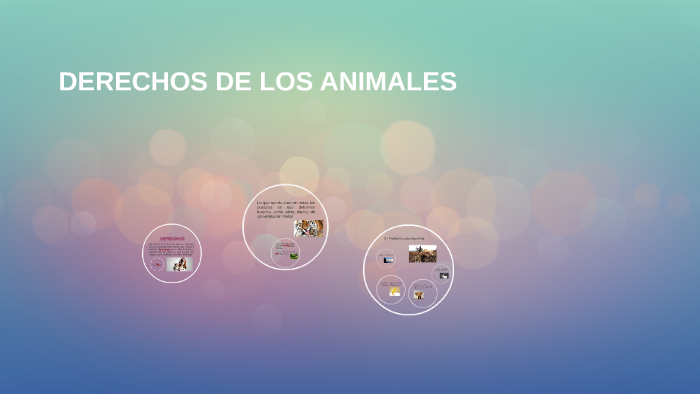 DERECHOS DE LOS ANIMALES by Alexandra Ashford on Prezi