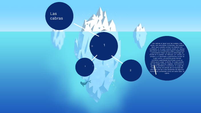 Producción Y Procesos Del Ganado Bovino By Alfonso Dimas On Prezi