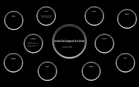 Animal Cell Compared To A School by Alyssa Lynn on Prezi