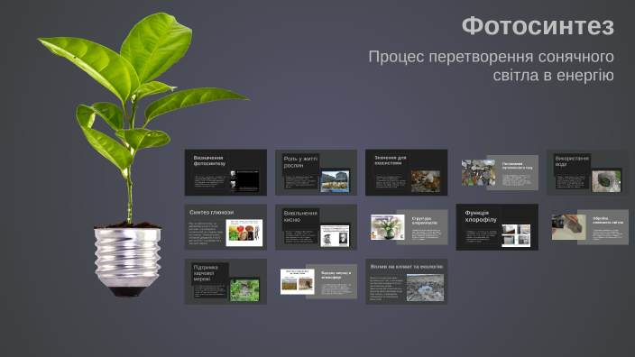 Фотосинтез by Victor on Prezi