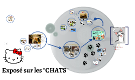 Sur Les Chats By Severine Gedzelman