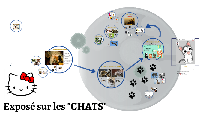 Sur Les Chats By Severine Gedzelman On Prezi Next