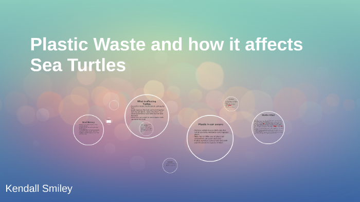 Plastic Waste and how it affects Sea Turtles by Kendall Raines on Prezi