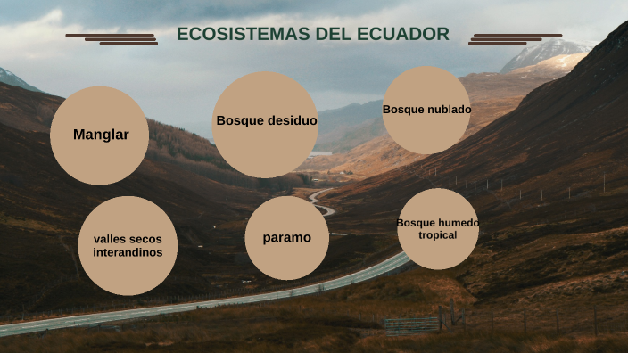 ECOSISTEMAS TERRESTRES DEL ECUADOR By Belen Amaguai On Prezi